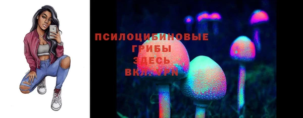 круглые Белокуриха