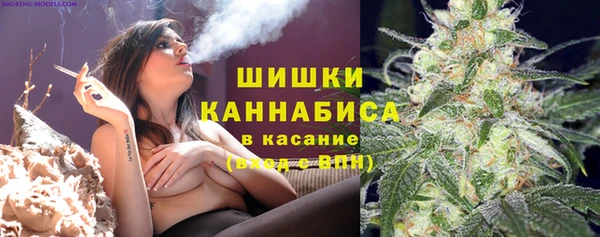 круглые Белокуриха