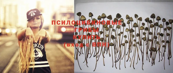 Альфа ПВП Беломорск