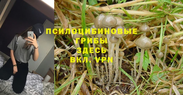 круглые Белокуриха